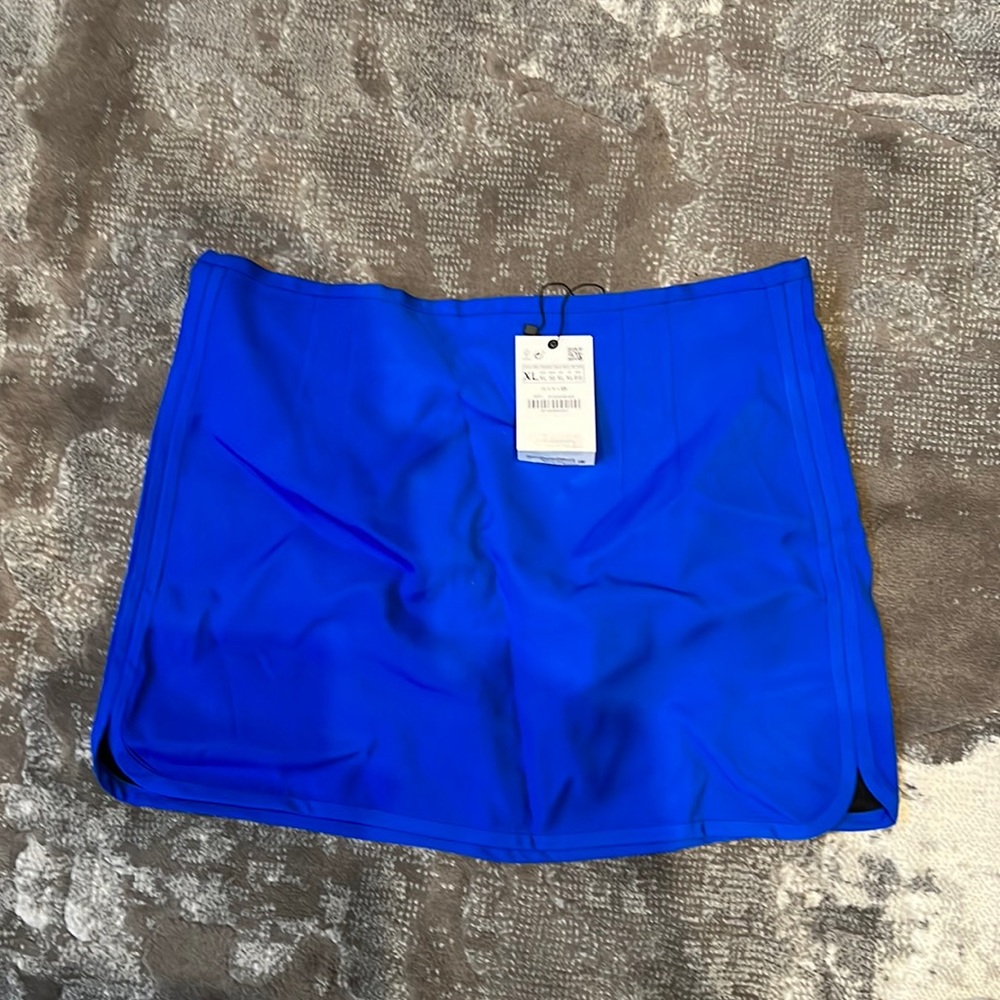 Beautiful Skirt by Zara